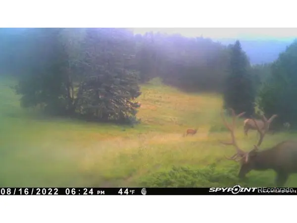 TBD CR 575.1, Gardner, CO 81040