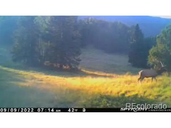 TBD CR 575.1, Gardner, CO 81040