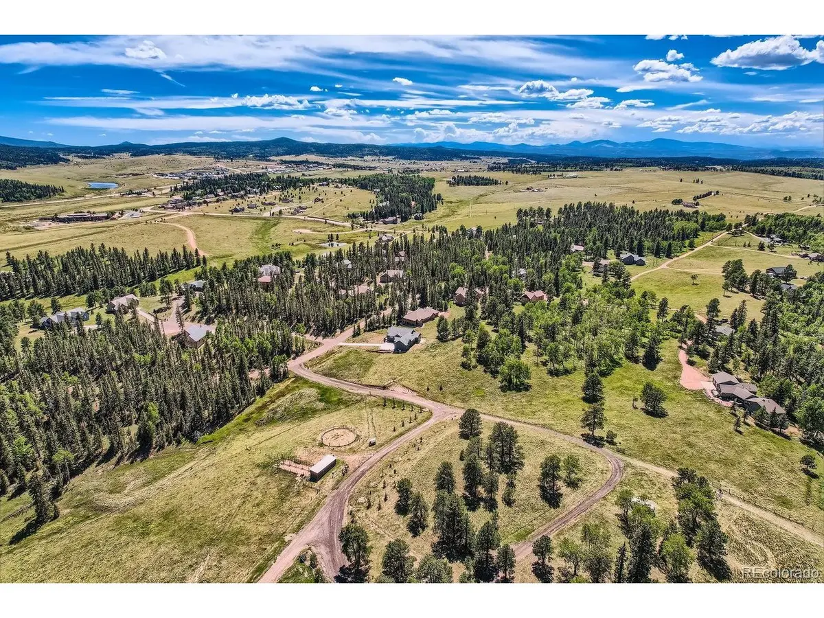 303 Pinaceae, Divide, CO 80814