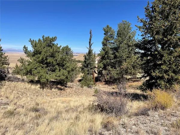 23 Loft, Hartsel, CO 80449