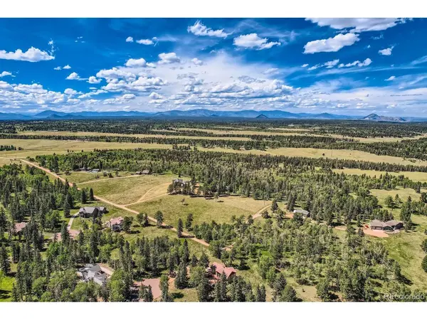 303 Pinaceae, Divide, CO 80814