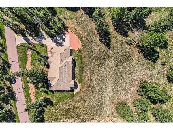 303 Pinaceae, Divide, CO 80814