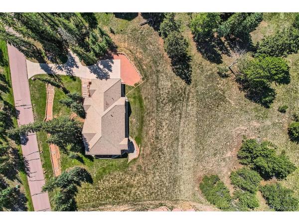 303 Pinaceae, Divide, CO 80814