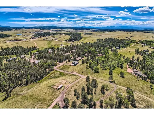 303 Pinaceae,  Divide,  CO 80814