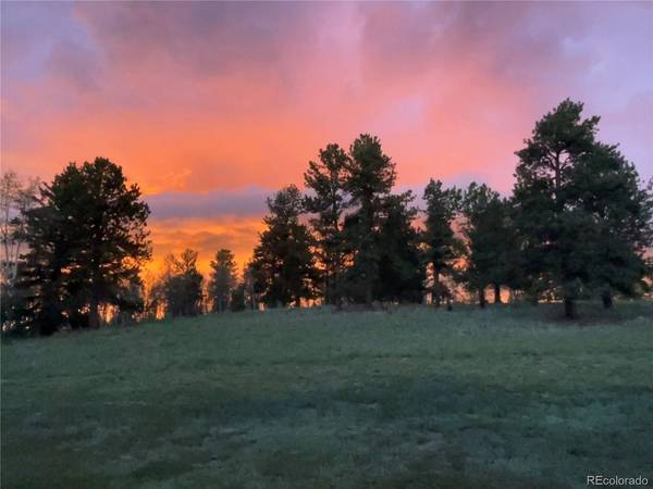 303 Pinaceae, Divide, CO 80814
