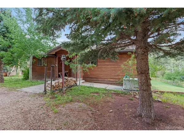47 Britton, La Veta, CO 81055