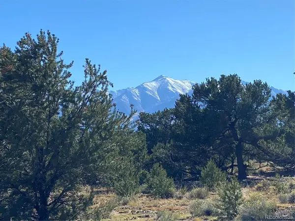 15620 Buffalo, Buena Vista, CO 81211