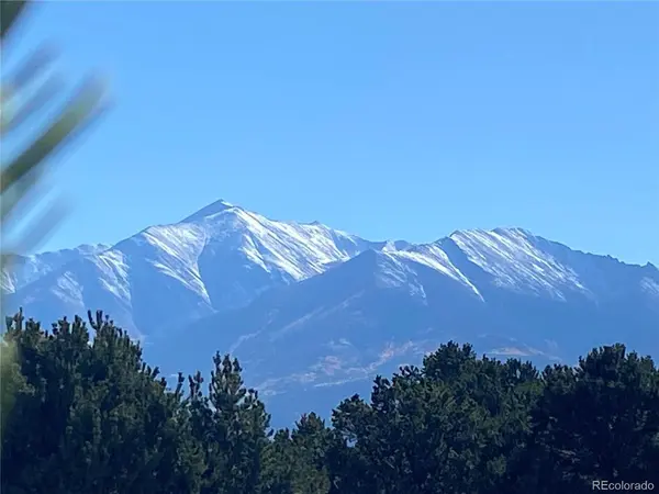 15620 Buffalo, Buena Vista, CO 81211