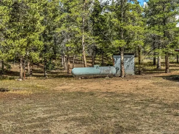 265 Placer, Alma, CO 80420