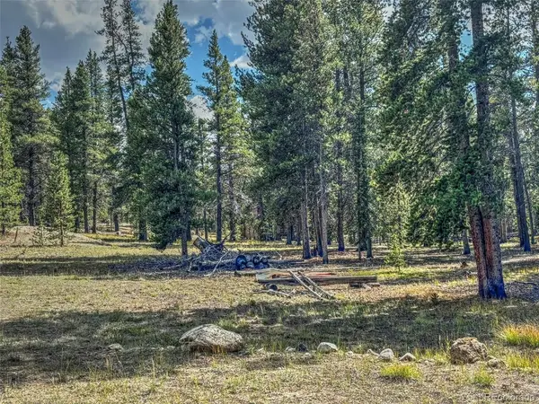 265 Placer, Alma, CO 80420