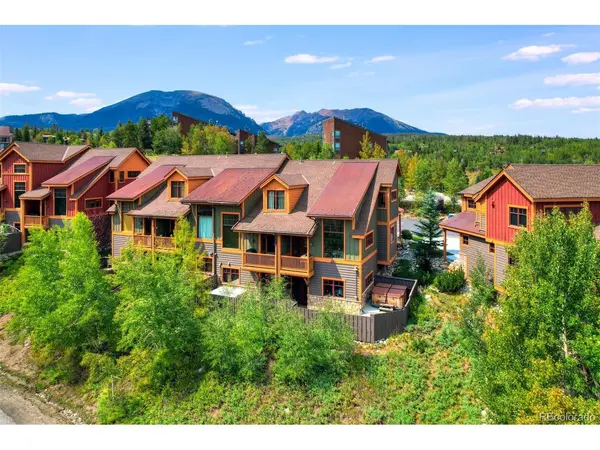 40 County Road 1293 #D, Silverthorne, CO 80498