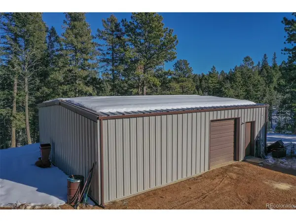 426 Black Bear, Divide, CO 80814