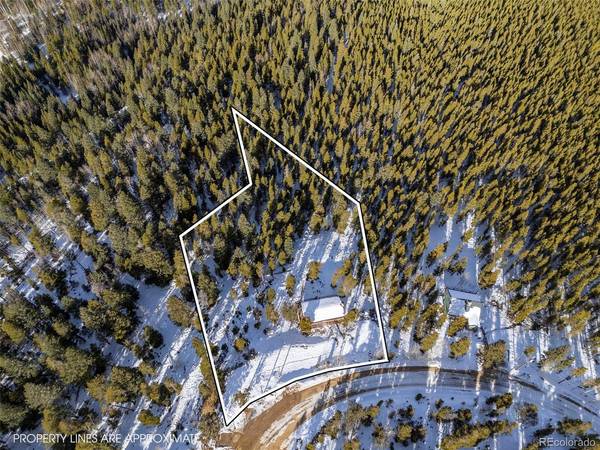 293 Mountain View, Idaho Springs, CO 80452