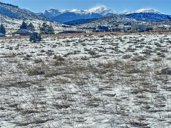 31 28th Trail, Cotopaxi, CO 81223