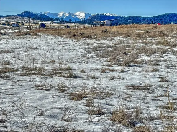 31 28th Trail, Cotopaxi, CO 81223