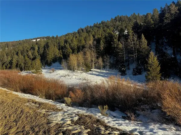 223 Highway 160, Fort Garland, CO 81133