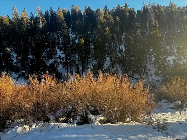 223 Highway 160, Fort Garland, CO 81133