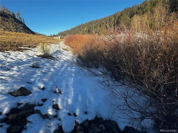 223 Highway 160, Fort Garland, CO 81133