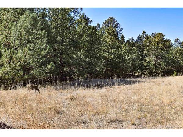 721 1st, Guffey, CO 80820