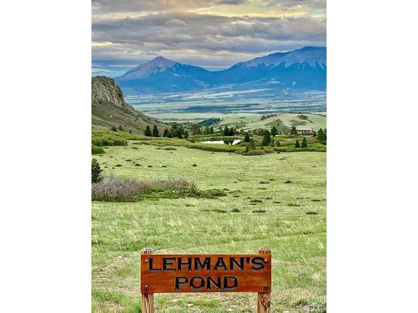 Address not disclosed, La Veta, CO 81055