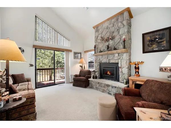 740 S 5th, Frisco, CO 80443