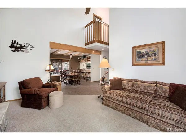 740 S 5th, Frisco, CO 80443
