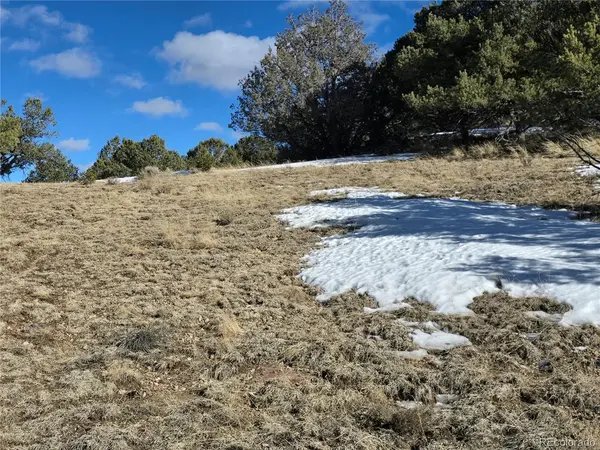 882 Shoshone, Canon City, CO 81212