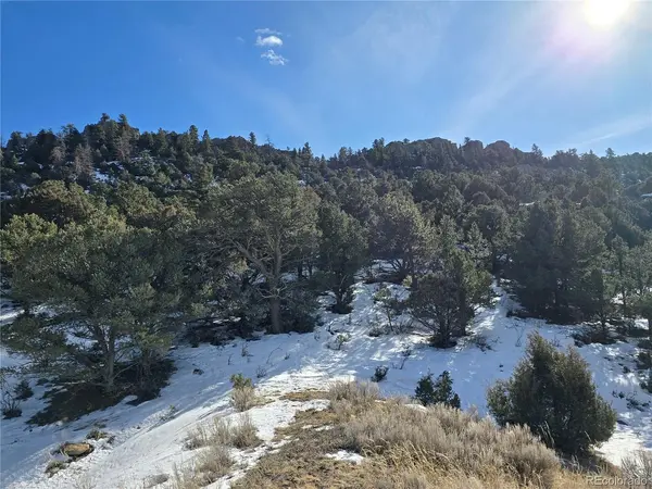 882 Shoshone, Canon City, CO 81212