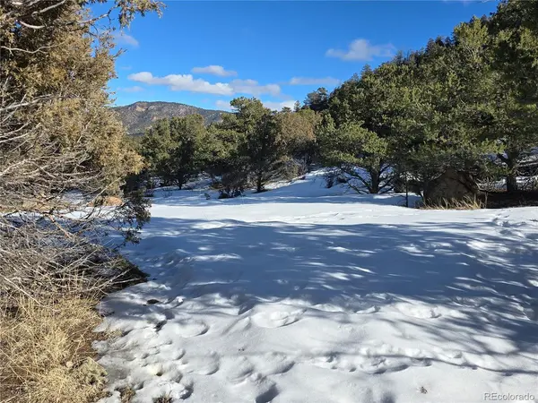 882 Shoshone, Canon City, CO 81212