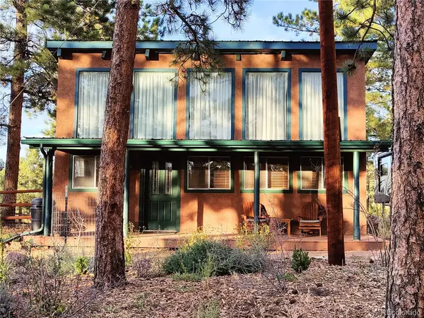 489 Trail Creek, Lake George, CO 80827
