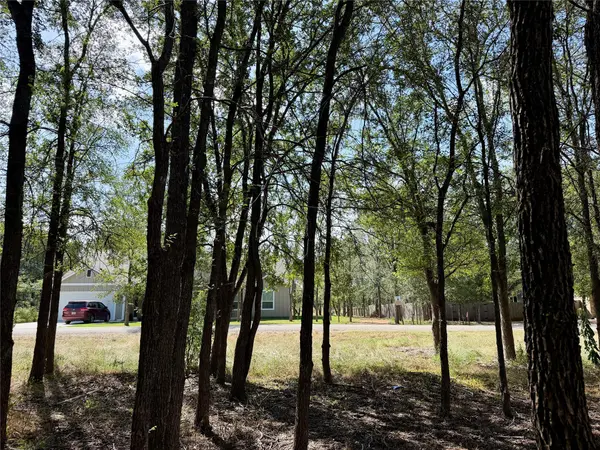 208 Waipahoehoe DR, Bastrop, TX 78602