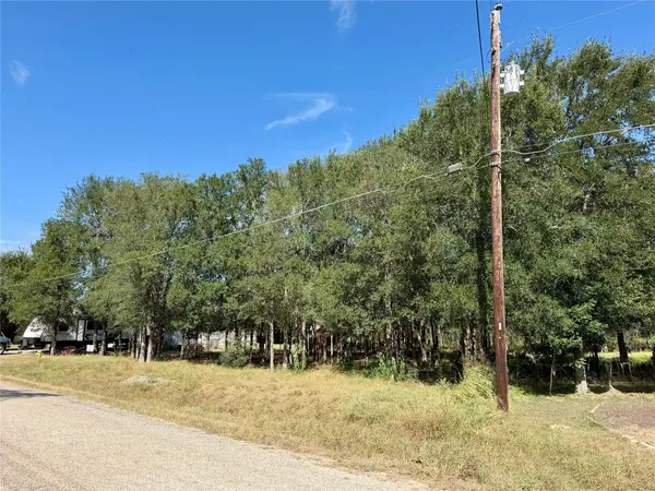 208 Waipahoehoe DR, Bastrop, TX 78602