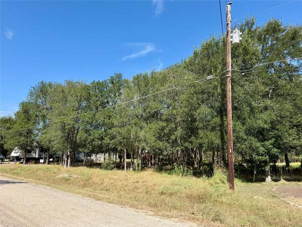 208 Waipahoehoe DR, Bastrop, TX 78602