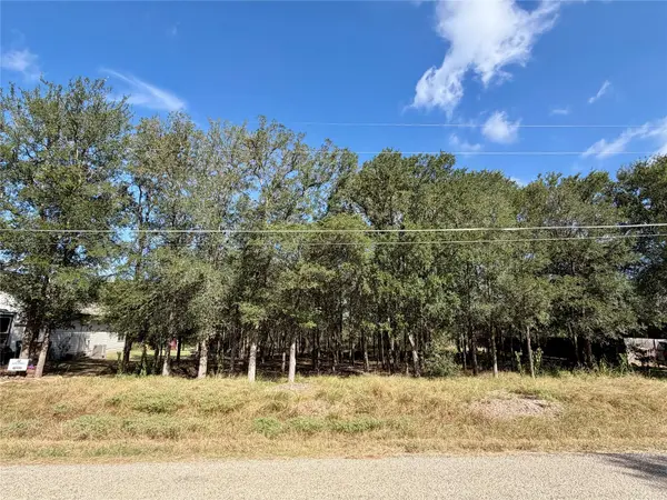 208 Waipahoehoe DR, Bastrop, TX 78602