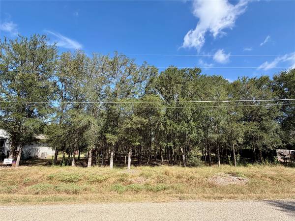 208 Waipahoehoe DR, Bastrop, TX 78602