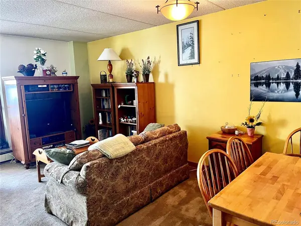 800 Copper #205, Frisco, CO 80443