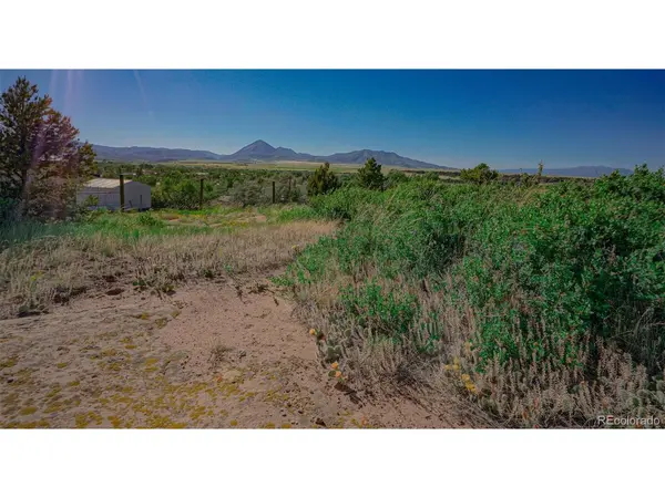 605 E Field, La Veta, CO 81055