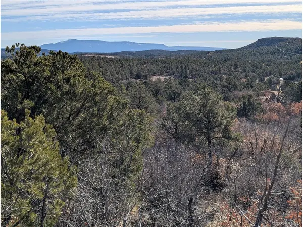 LDS, Boncarbo, CO 81024
