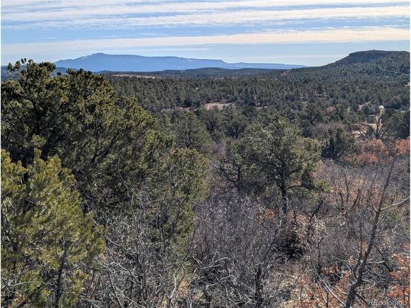 LDS, Boncarbo, CO 81024