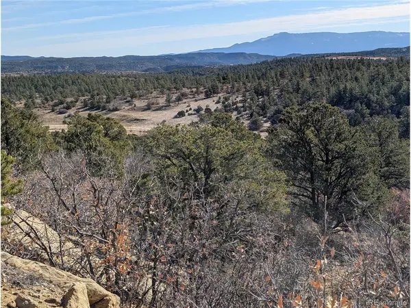LDS,  Boncarbo,  CO 81024