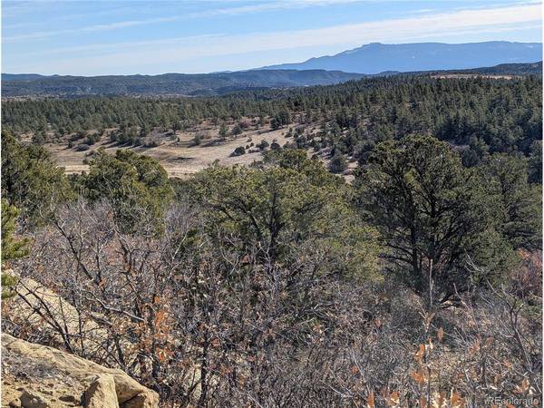 LDS,  Boncarbo,  CO 81024