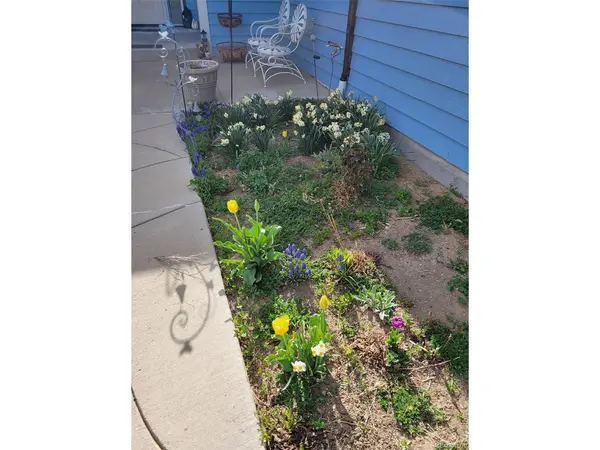 1901 Blue Mountain, Berthoud, CO 80513