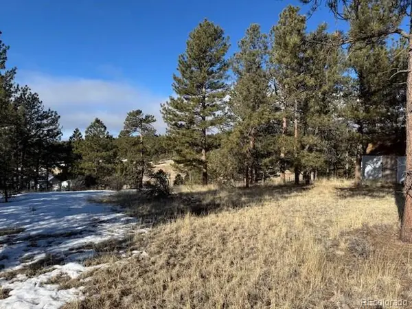 267 Rhyolite, Florissant, CO 80816