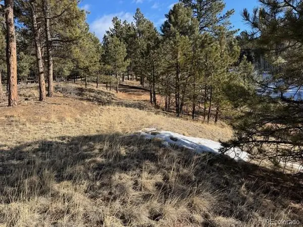 267 Rhyolite, Florissant, CO 80816