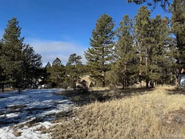 267 Rhyolite, Florissant, CO 80816