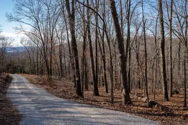 Tbd Northwoods Drive, Kimberling City, MO 65686