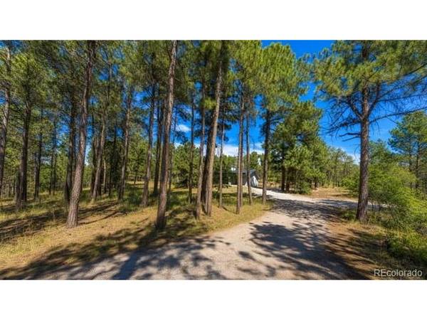 1251 Valley View, Larkspur, CO 80118