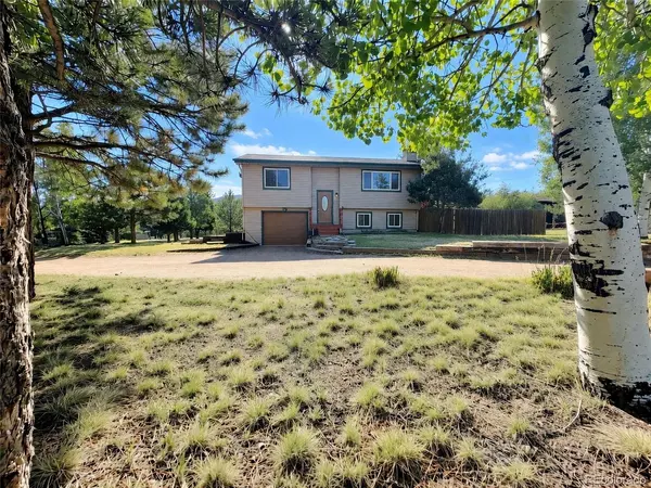 1056 Sundance, Woodland Park, CO 80863