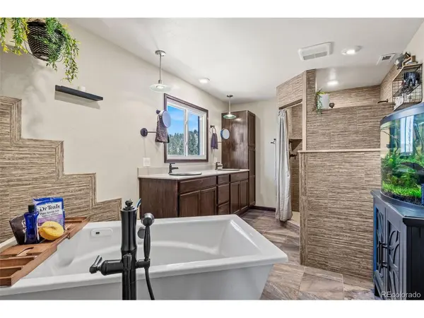 1738 Wildhorn, Florissant, CO 80816