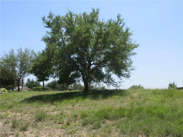 113 Quail PT, Spicewood, TX 78669